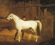 Grey Horse and Groom in a Stable