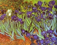Irises. Saint-Rémy