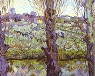 View of Arles. Orchard in Bloom.