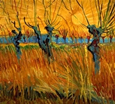 Pollard Willows with Setting Sun