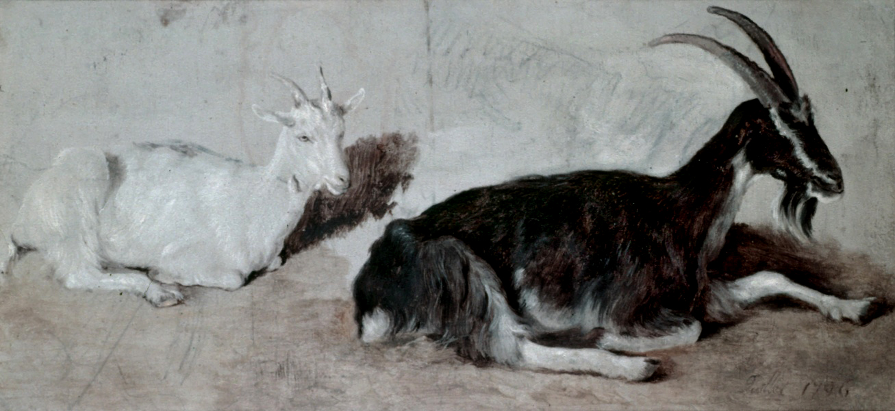 two goats jacques-laurent agasse realist art history goats animals eighteenth century