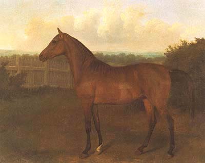 Colt jacques-laurent agasse art history horse animal realism