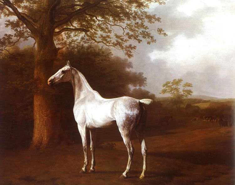 white horse in pasture by Jacques-Laurent Agasse a white horse standing in a field animal