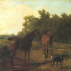 Two Horses and a Greyhound