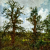 Landscape with Trees and a Hunter