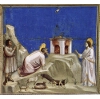 Scenes from the Life of Joachim: Joachim's Sacrificial Offering 