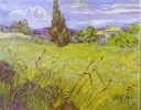 Green Wheat Field with Cypress. Saint­Rémy