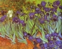 Irises. Sait-Rémy