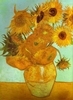 Twelve Sunflowers in a Vase