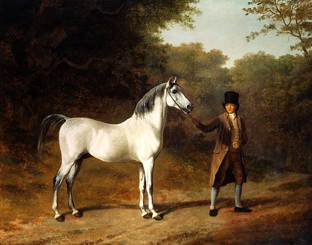 The Wellesley Arabian art history realism animal horse man