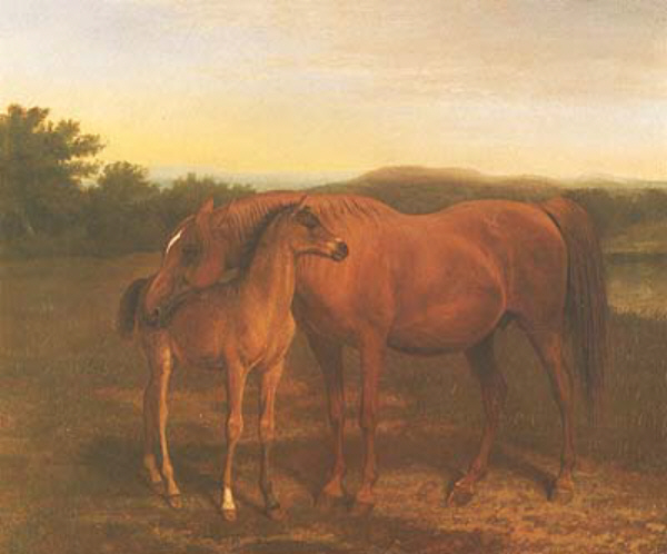 Arab Mare with Her Foal jacques-laurent agasse art history realism animal horse