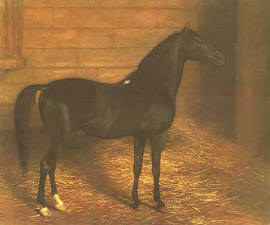 Black Arab jacques-laurent agasse art history realism horse animal building interior stable