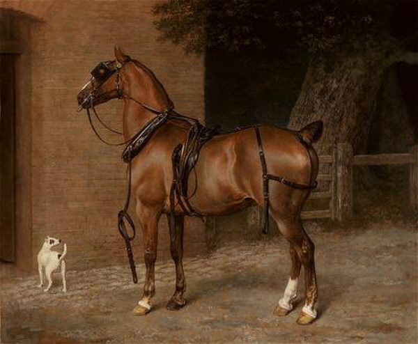 Carriage Horse jacques-laurent agasse art history realism animals animal dog horse building tree reins harness blinkers
