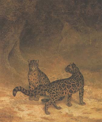 Two Clouded Leopards from Sumatra jacques-laurent agasse art history realism animals