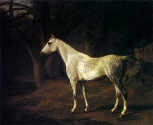 Forest Dapple by Jacques-Laurent Agasse art history realism horse landscape grey