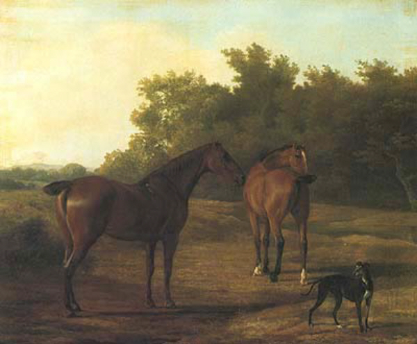  Two Horses and a Greyhound Seen in a Landscape jacques-laurent agasse dog animal art history realism
