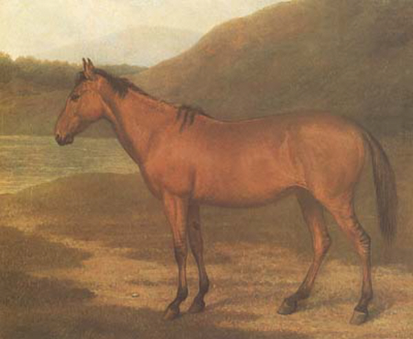 Hybrid Foal by Jacques-Laurent Agasse art history realism horse