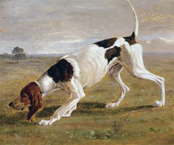 Pointer in a Landscape art history realism dog