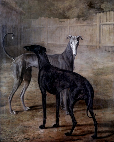 Rolla and Portia by Jacques-Laurent Agasse dogs animals painting art history realism
