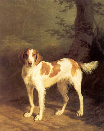 Dash a setter Jacques Laurent Agasse a dog standing in the landscape art history realism