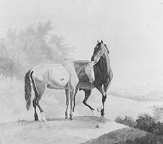 Two Horses jacques-laurent agasse art history realism animals