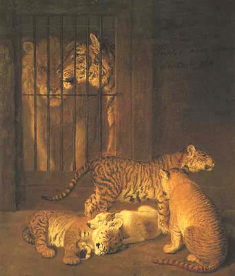 Group of Whelps Bred Between a Lion and a Tigeress by Jacques-Laurent Agasse animals art history realism four cubs being watched by a lion and a tiger which are behind a cage door