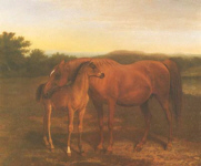 Arab Mare with Foal