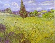 Green Wheat Field with Cypress. Saint ­Rémy