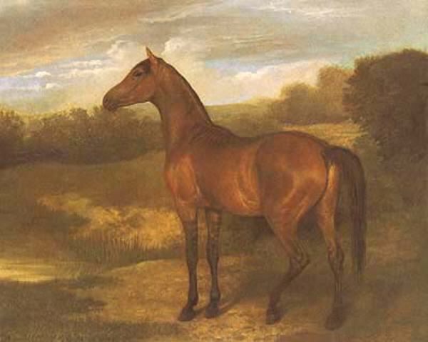 Filly jacques-laurent agasse art history realism horse landscape