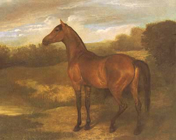 Filly jacques-laurent agasse art history realism horse landscape