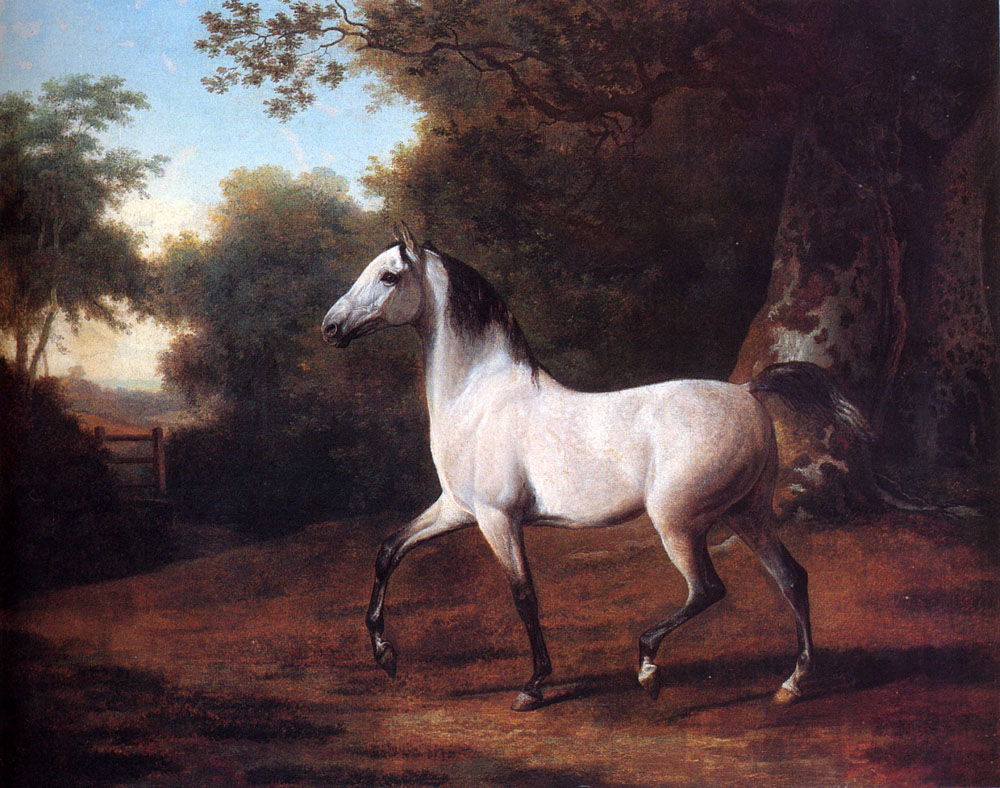 grey arab stallion in a wooded landscape jacques-laurent agasse painting landscape art history realism horse animal eighteenth century