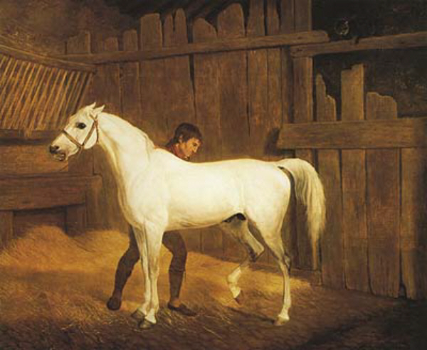 Grey Horse and Groom in a Stable jacques-laurent agasse art history realism man horse animal interior stable manger straw