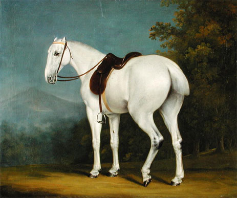 A Ladies grey hunter by Jacques-Laurent Agasse grey hunter white horse standing field animal art history realism 19th century