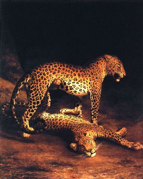 Two Leopards Playing in the Exeter Menagerie by Jacques-Laurent Agasse animals